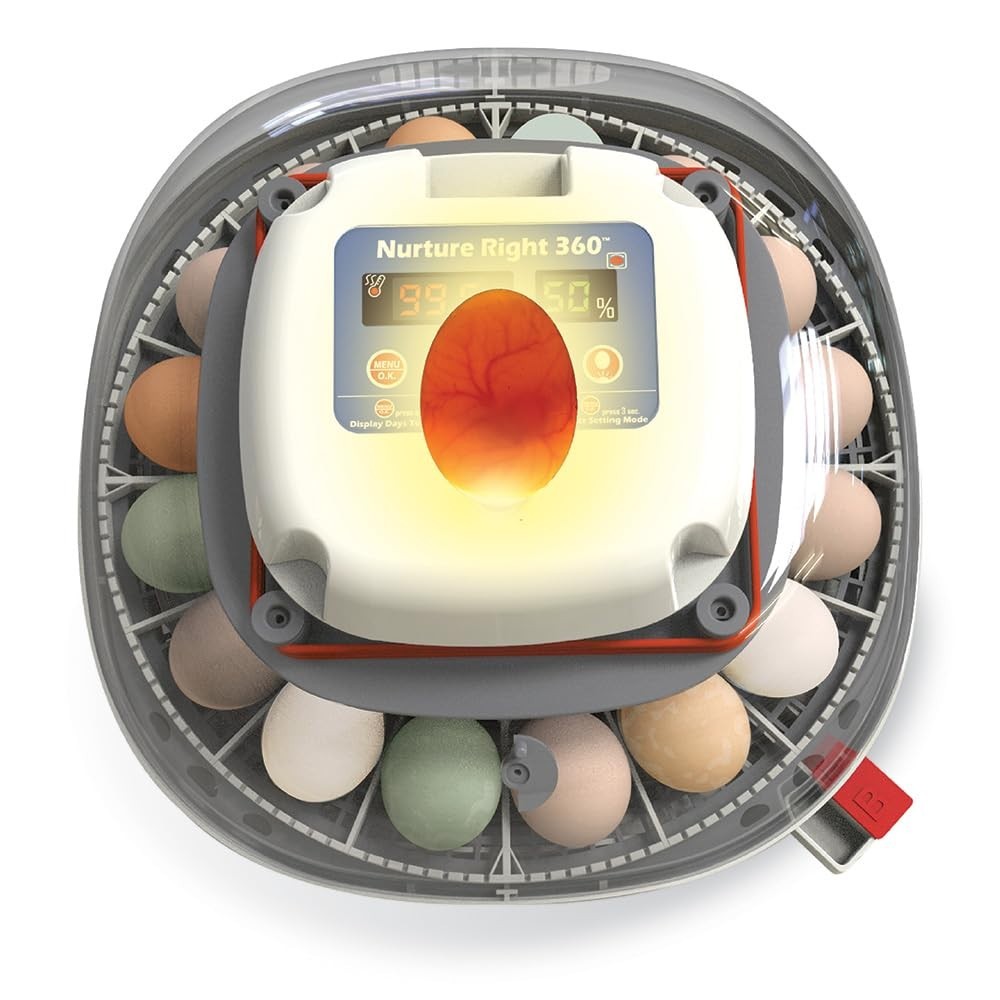 Nurture Right Egg Incubator for Hatching Chicks, Holds 12-22 Eggs, Automatic ...