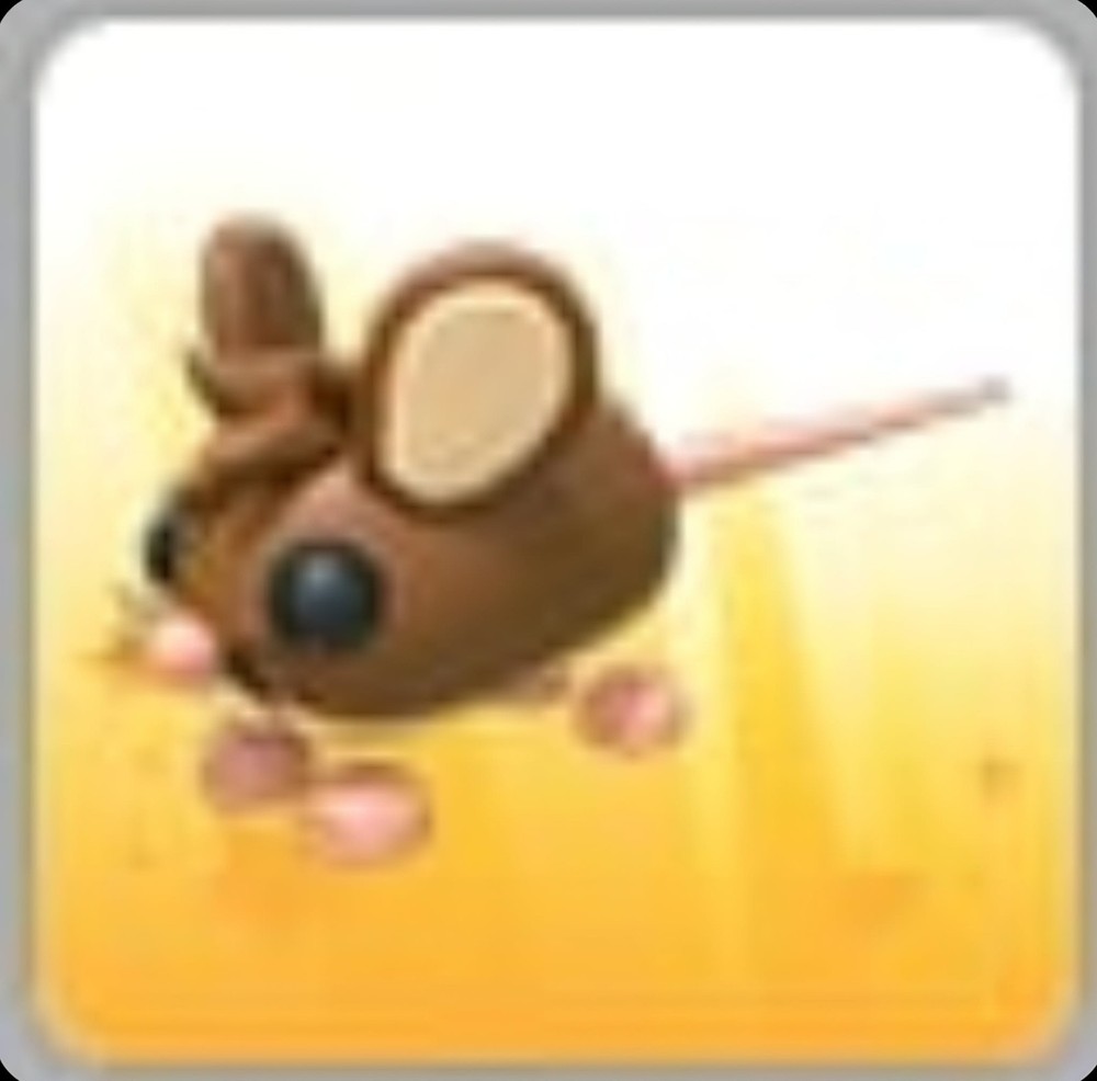 Field Mouse | Adopt Now