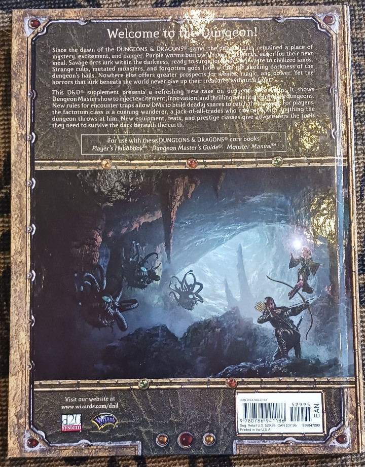 D20 Dungeons and Dragons Dungeonscape