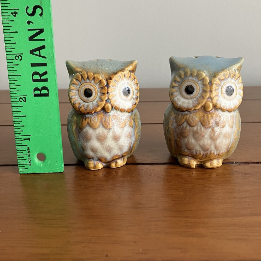 Ceramic Owl Salt & Pepper Shaker Set Whimsical Kitchen Decor Cottagecore
