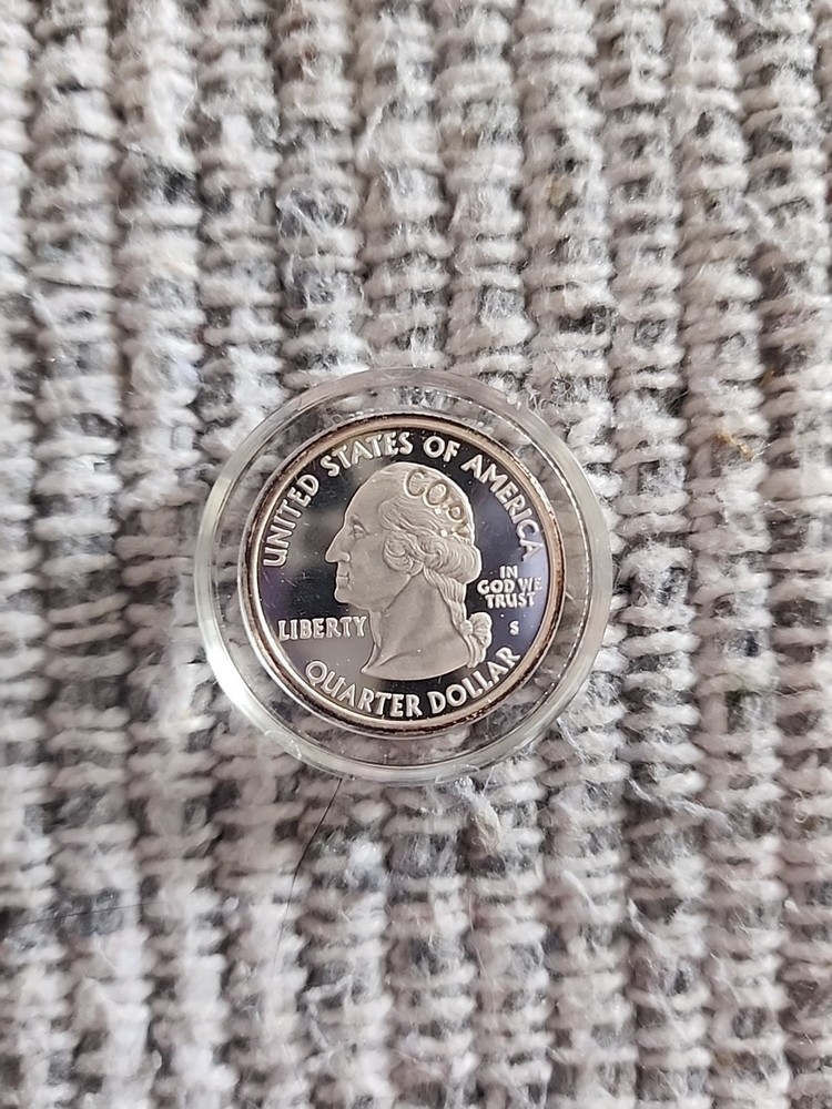 COPY 2004 Washington D.C. Quarter