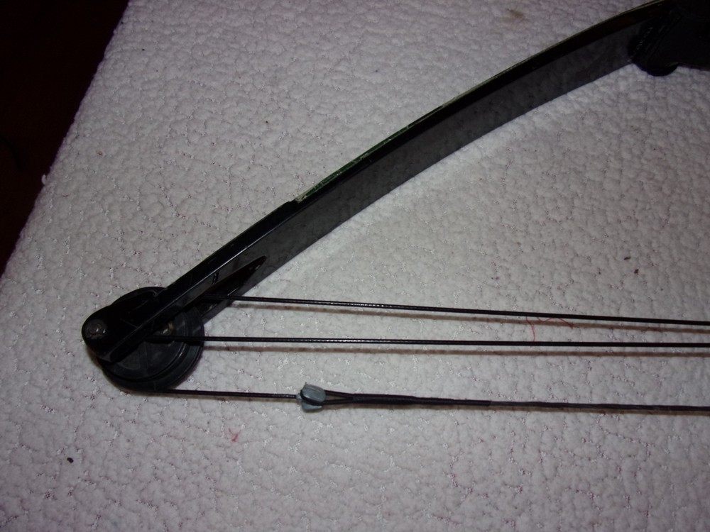 Bear Archery Compound Bow