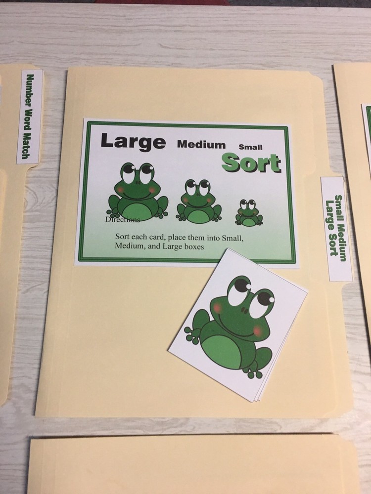 10 File Folder Set - Teaching READING MATH -Froggy Kit