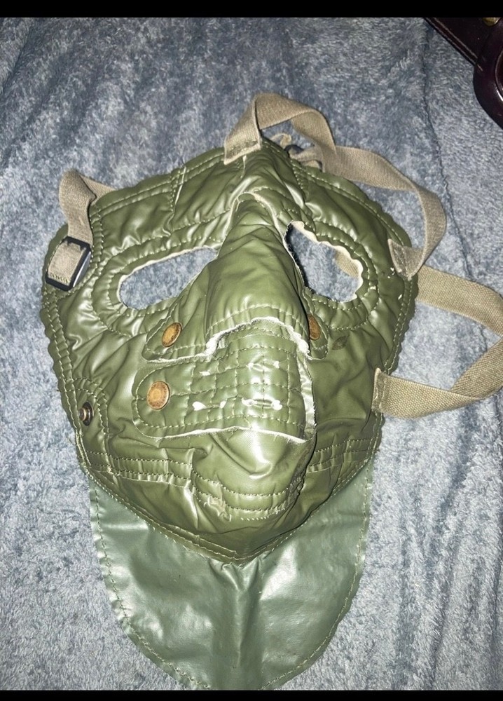 Subzero Weather Military Mask