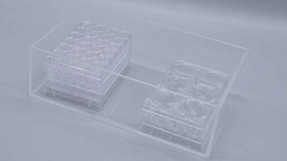 ClearOrg™ Organizer and Transfer Tray