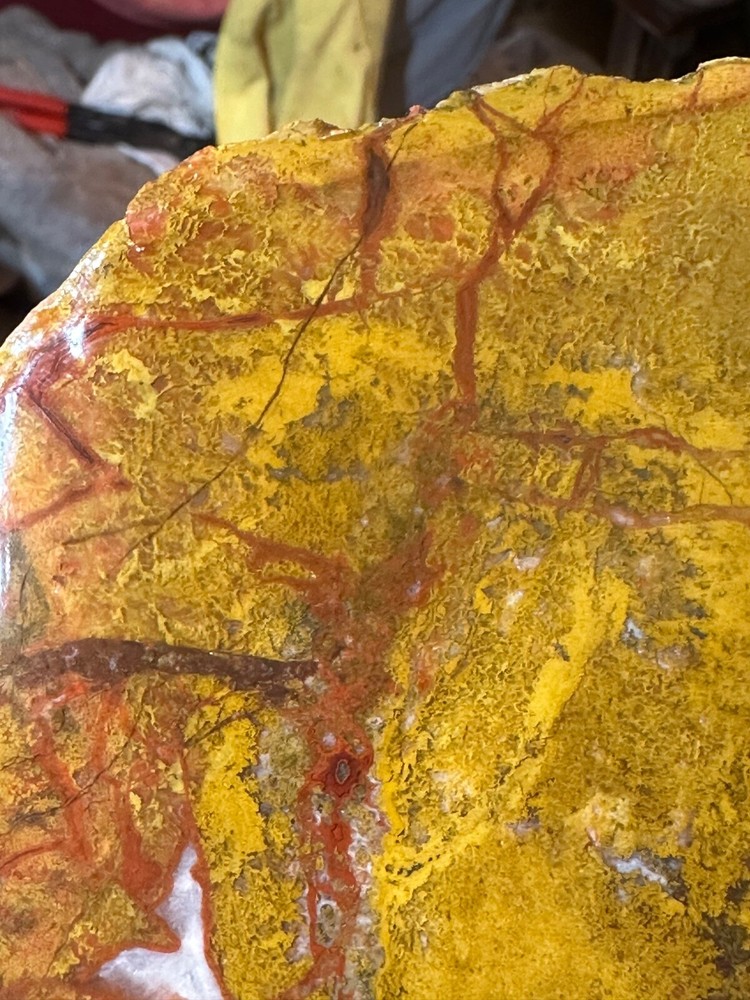 Beautiful Utah Yellowcat **hxtled agate.