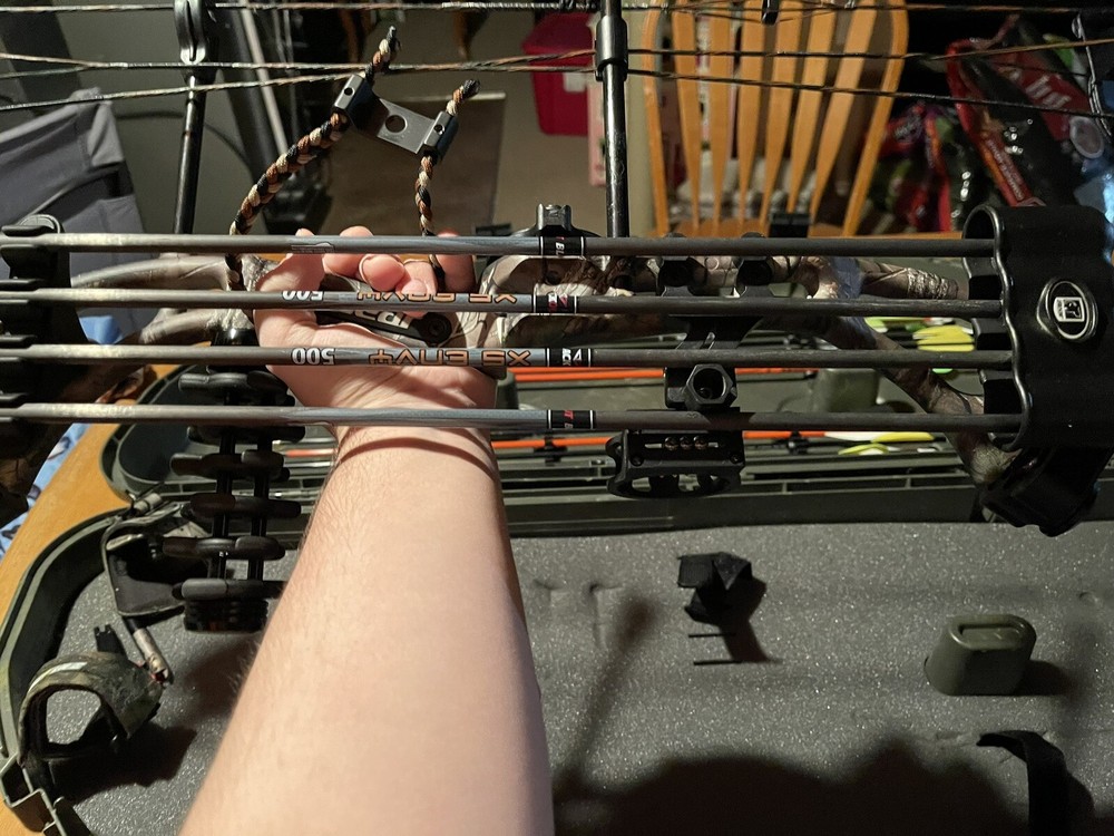 bow and arrow set hunting