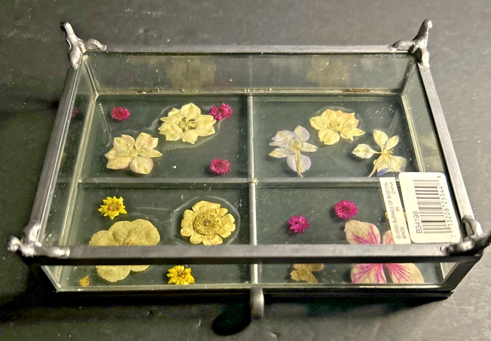 Carr Atrium Photo Box - Garden