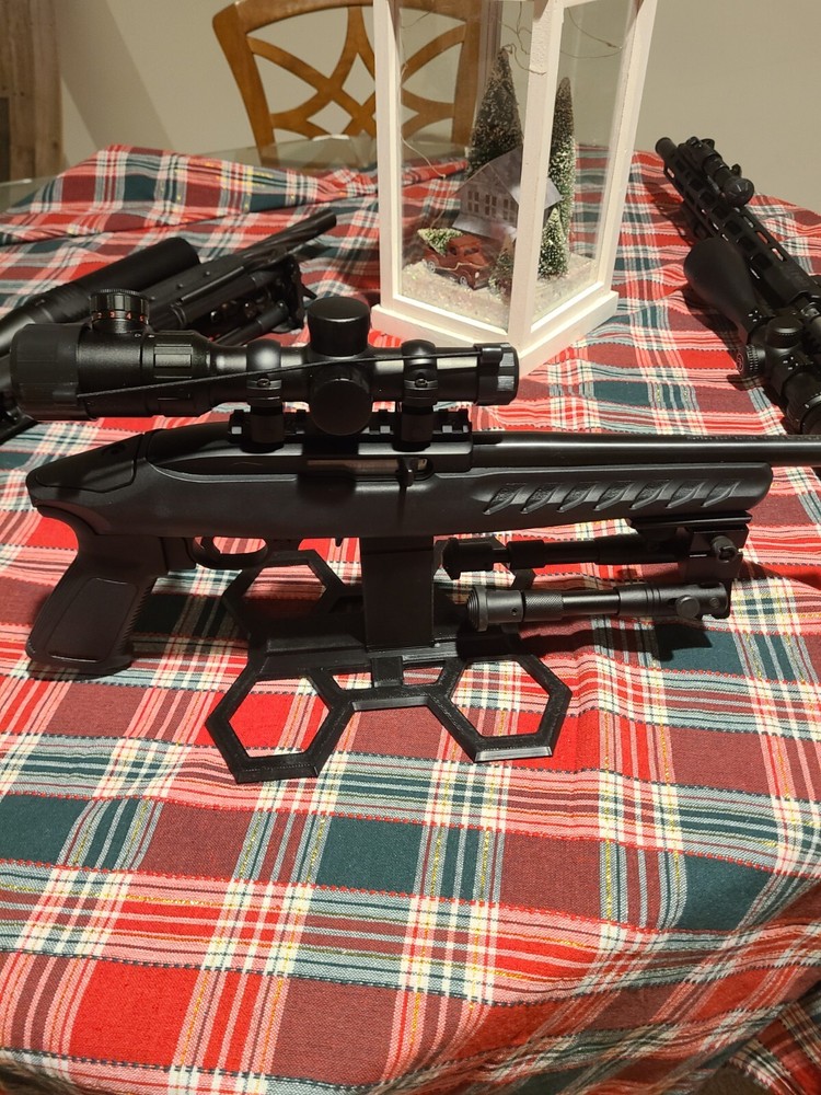 Ruger 10 22, Charger, Precision Table Display Stand