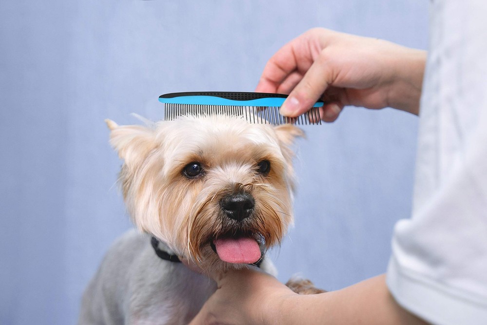 Pets First 2 Pack Dog Comb Small & Large PET for & Large, Blue