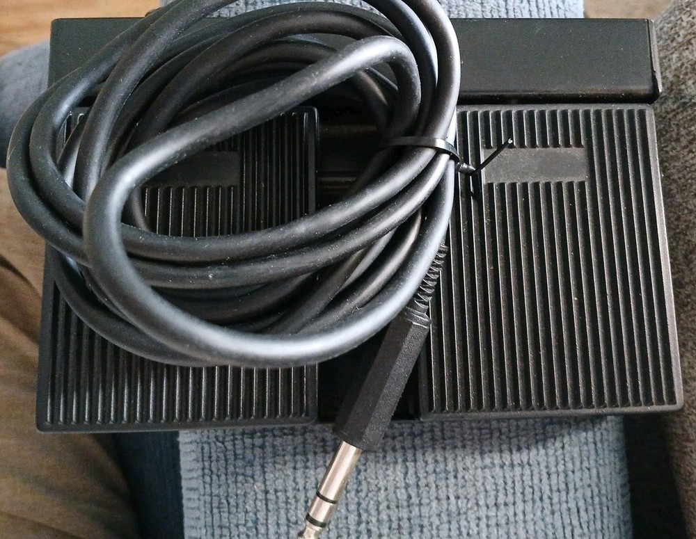 Double Piano-Style Sustain Pedal