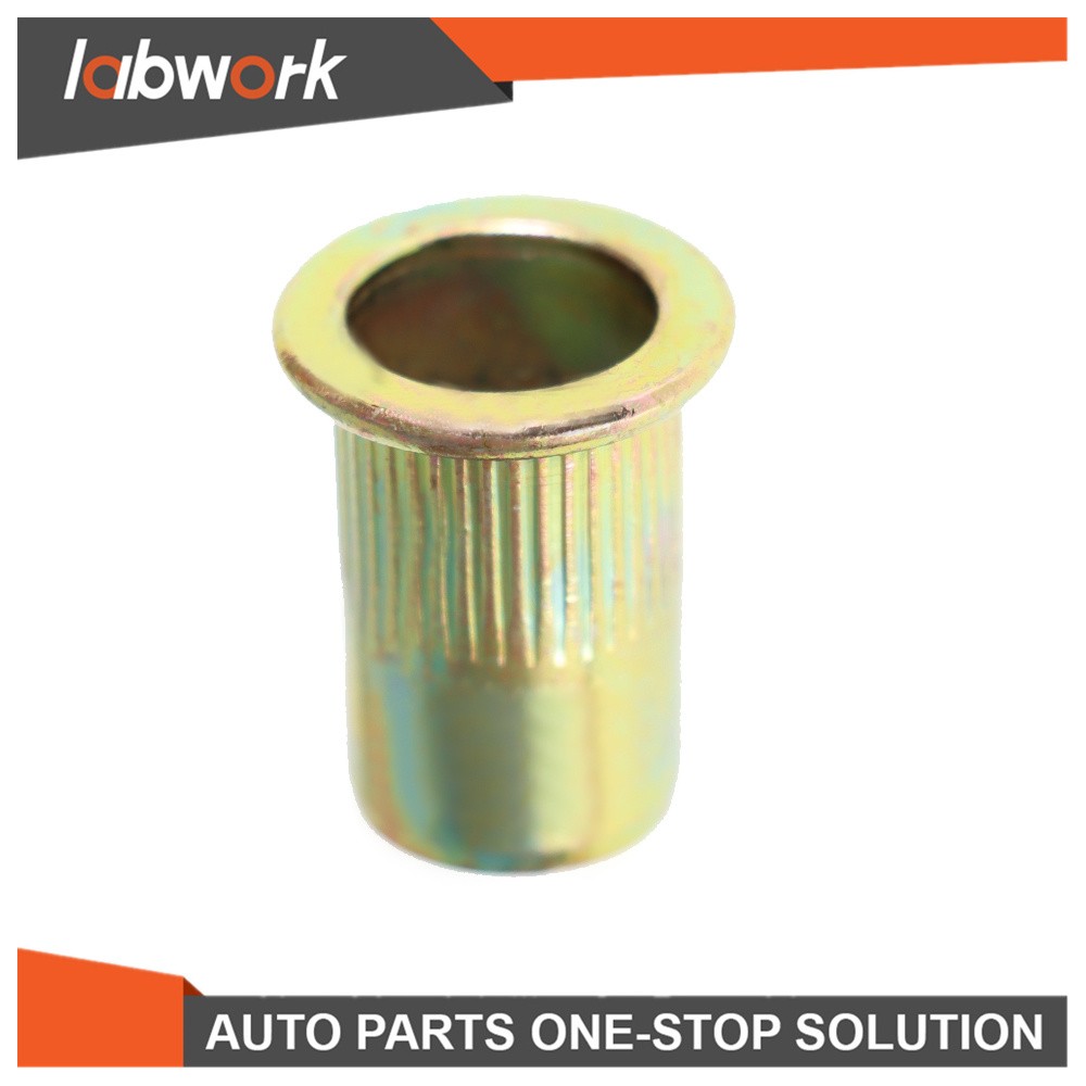 Labwork Rivet Nut Gun Kit Rivnut Tool Setter Thread Setting Nutsert Tool 900 Pcs