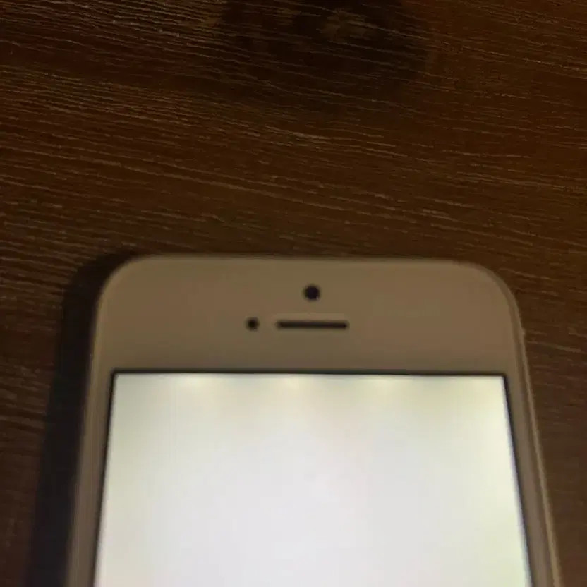 iPhone 5s 16GB Silver - Heavily Used, Screen & Speaker Issues