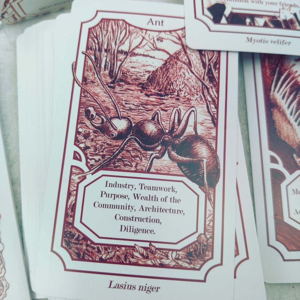 Creatures' Secrets Animal Divination Cards