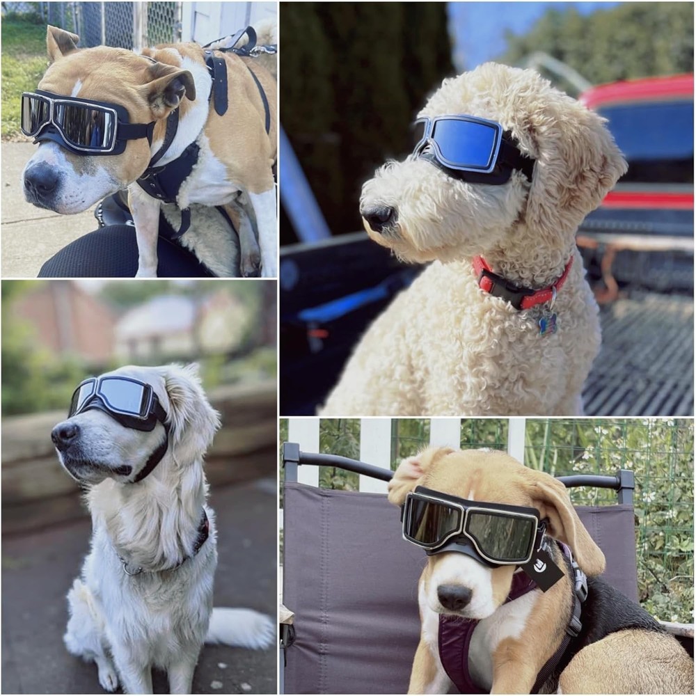 Enhanced Dog Eye Protection: Adjustable Goggles for Medium to Large Breeds