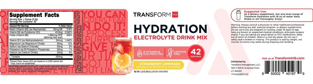 TransformHQ Hydration 42 Servings (Strawberry Lemonade) - Electrolytes