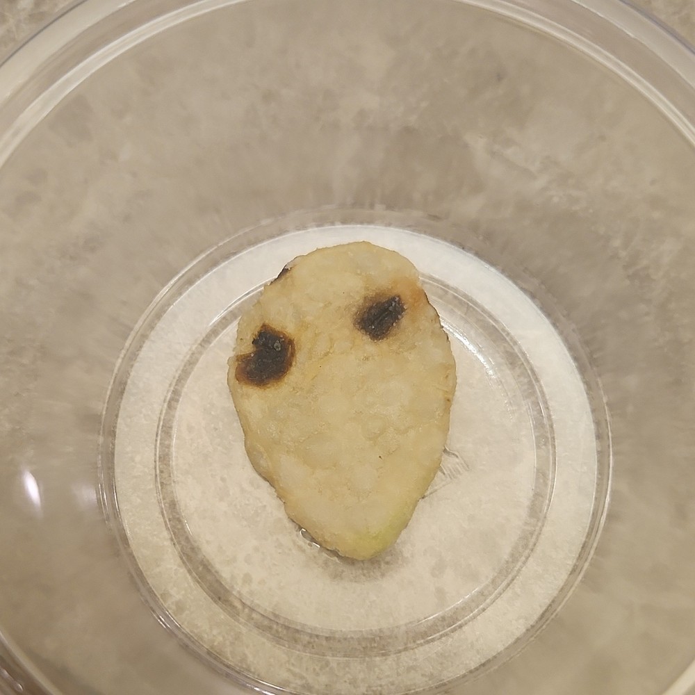 Alien Face Potato Chip