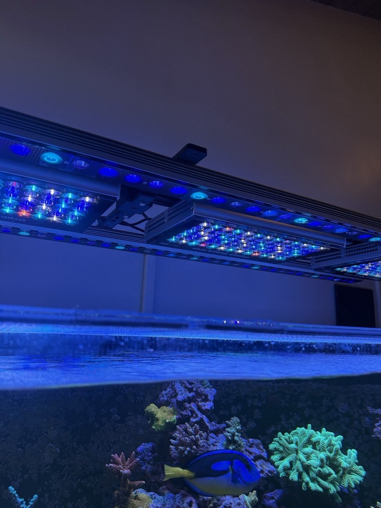 Ecotech RMS Mount For Orphek Fixed bracket OR4