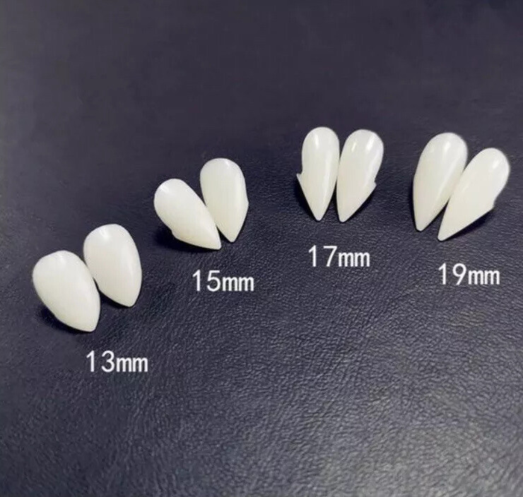 17mm vampire teeth fangs