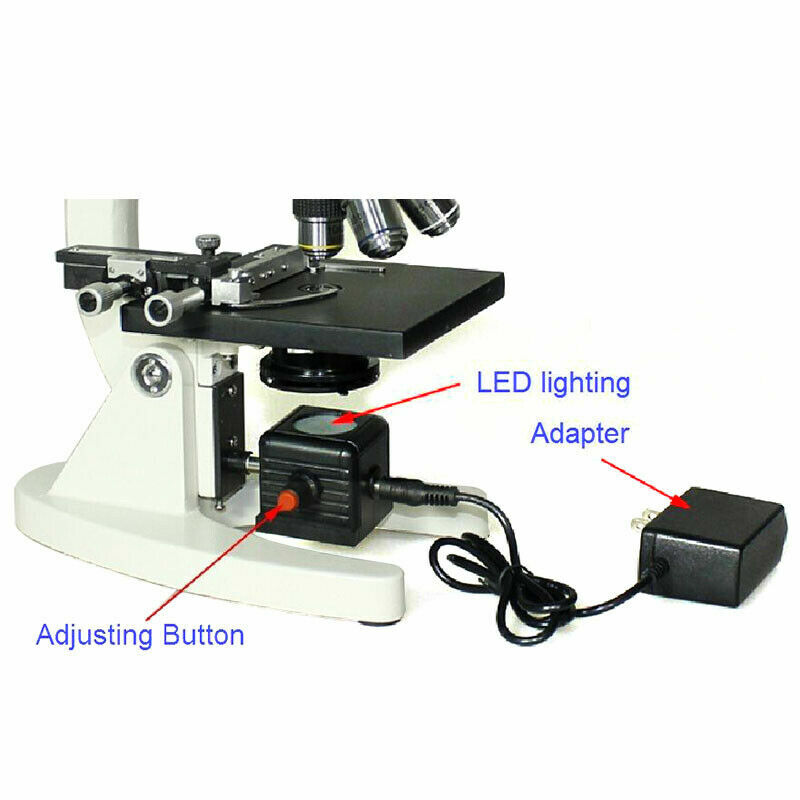 110V-240V Biological Microscope Bottom LED Light Supplementary Lamp Source