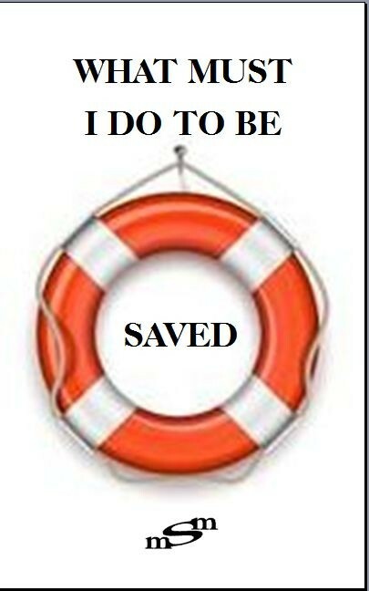 "What Must I do to be Saved" Author: michael samuel mauser