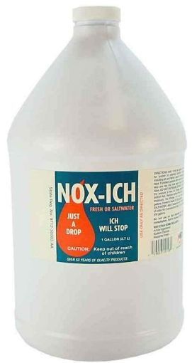 Pond, Weco Nox-Ich (1 Gallon)