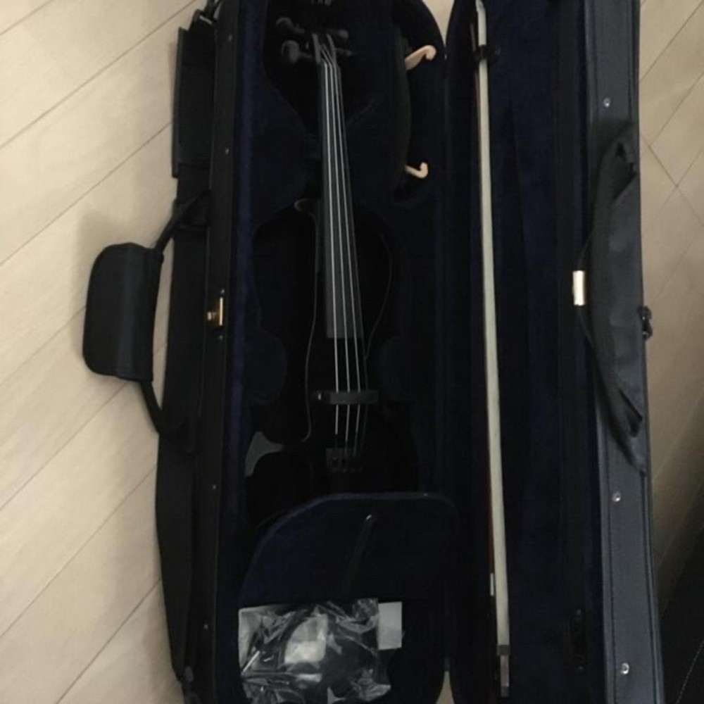 electric violin