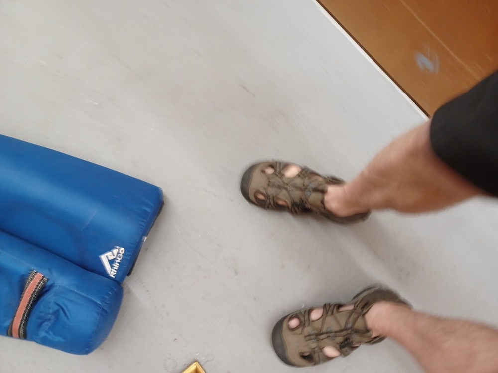 Martial arts target RHINGO Set