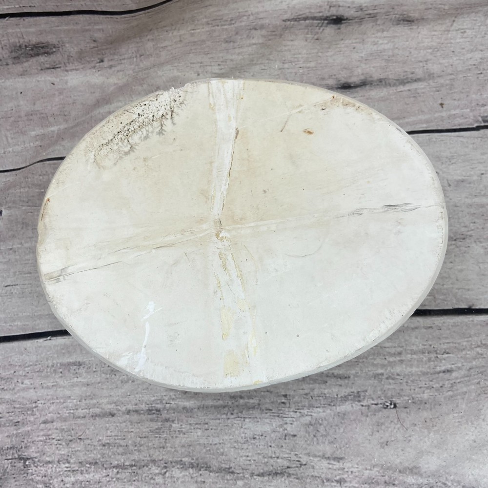 Unbranded Ceramic Casting Mold Sea Shell Figurine
