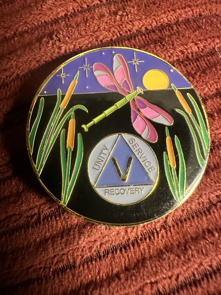 5 Year Recovery Coin Token Alcoholics Anonymous AA Dragonfly