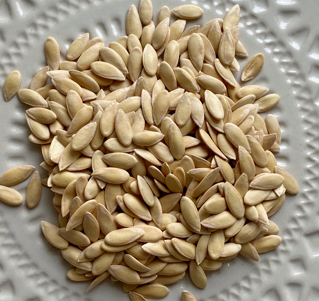 40 Vine Peach Melon Seeds – AKA Mango Melon – Heirloom – Fragrant & Unique