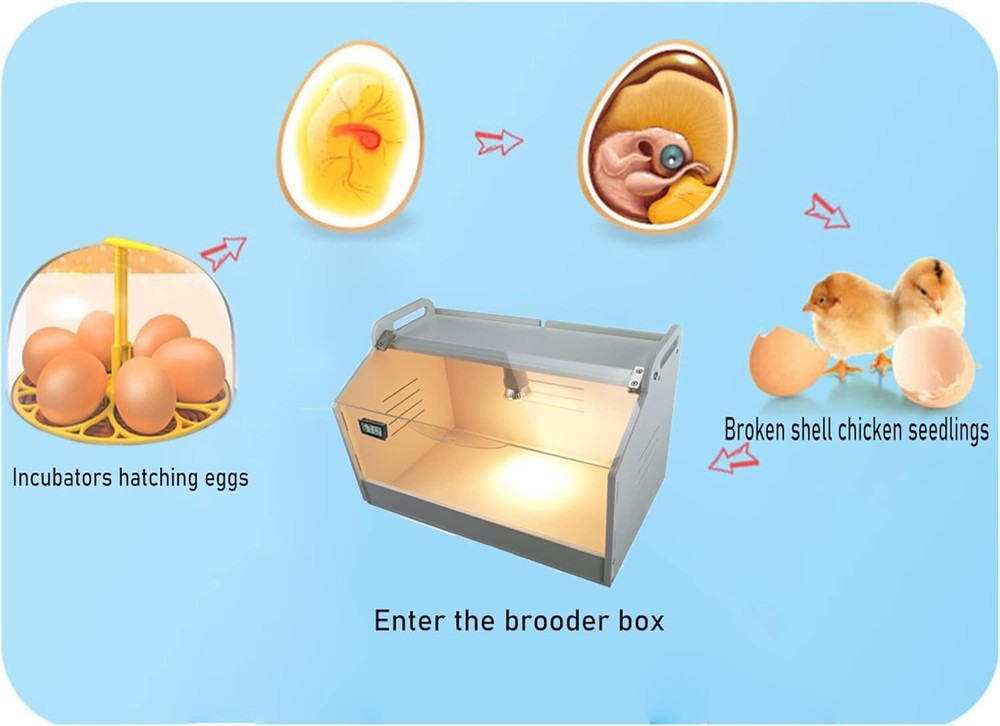 Intelligent Chicken Brooder Box with Temperature Display – Compact & Durable