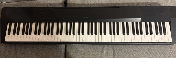 Casio CDP120 88 Key Digital Piano