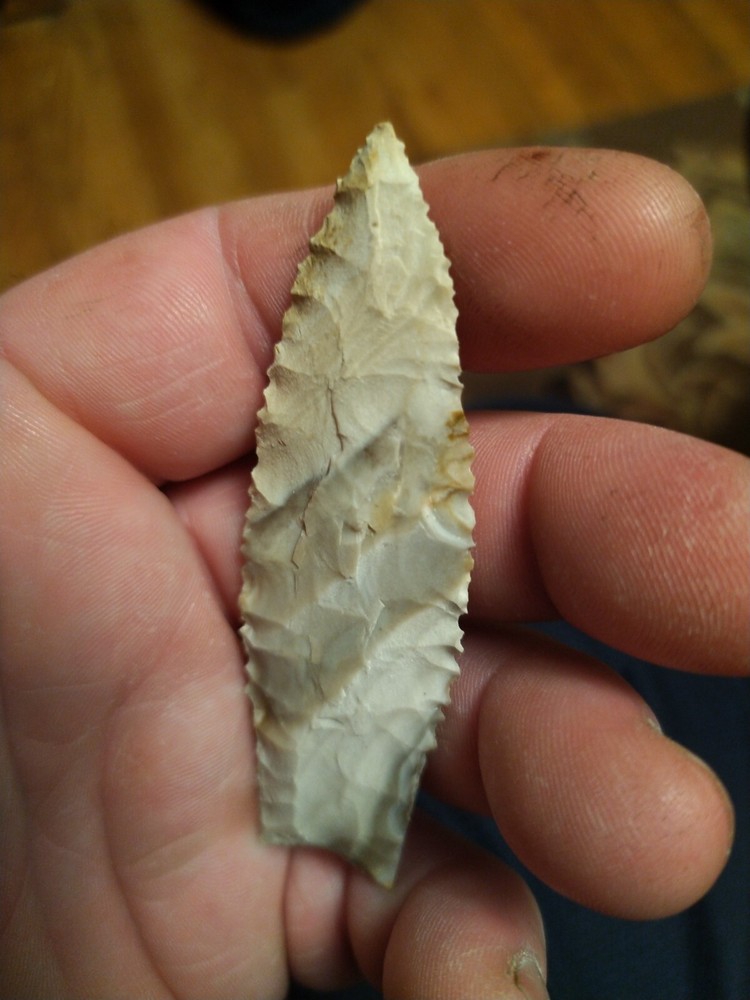 Dalton Ozark Chert fine serations 3 3/16" x 1"