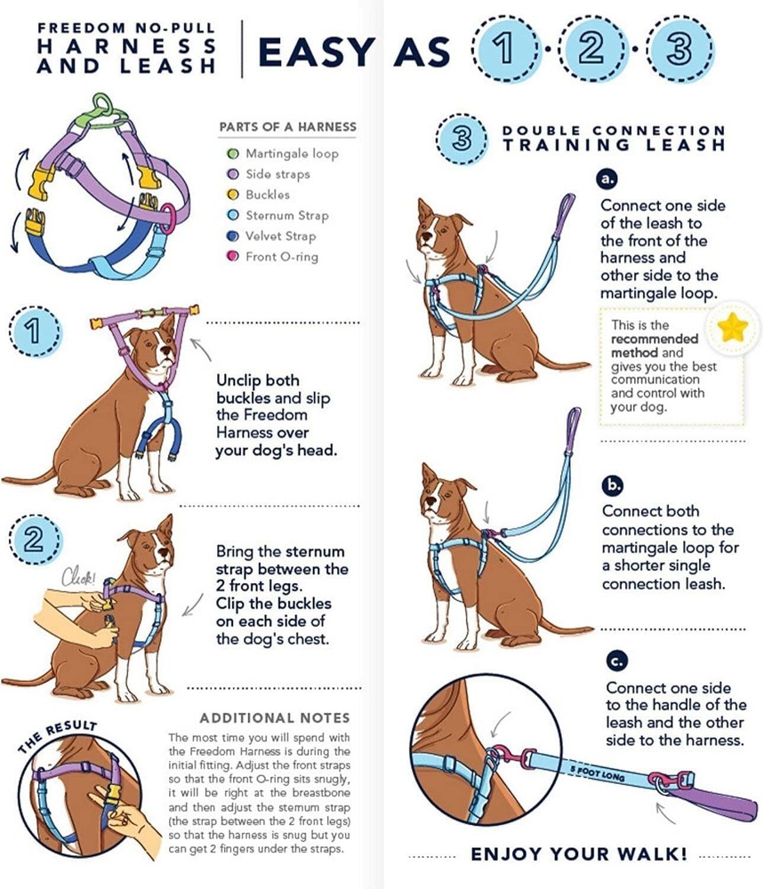 Freedom No Pull Dog Harness Comfortable Control Adjustable Dog Harness Leash Set