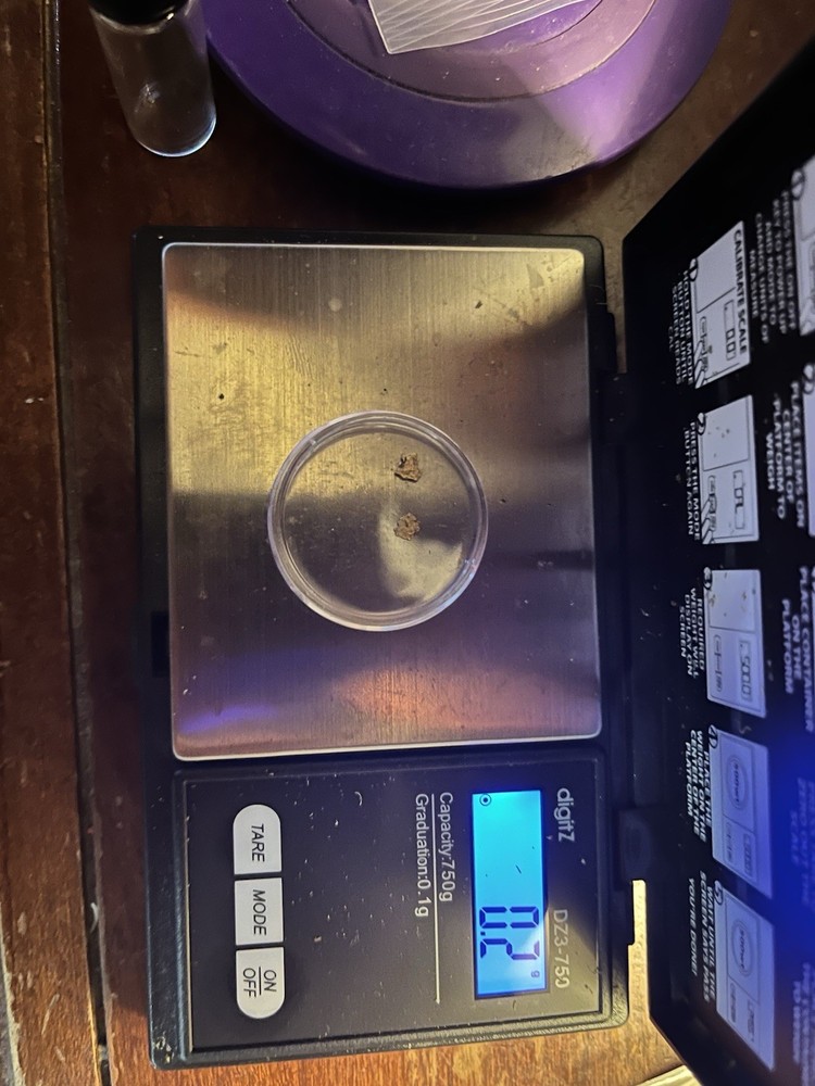 Montana Gold Nuggets .202 Grams