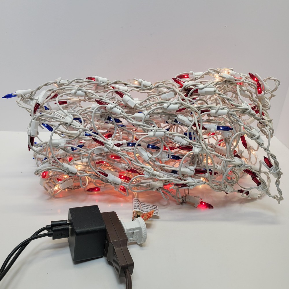 Set of  Multi-Colored Mini Net Lights 3x4ft Read