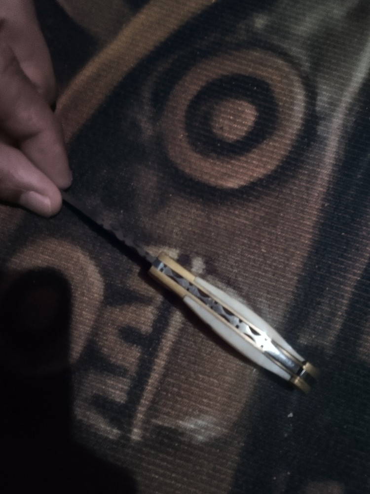 Pocket Knife Bone Handle W/Sheath