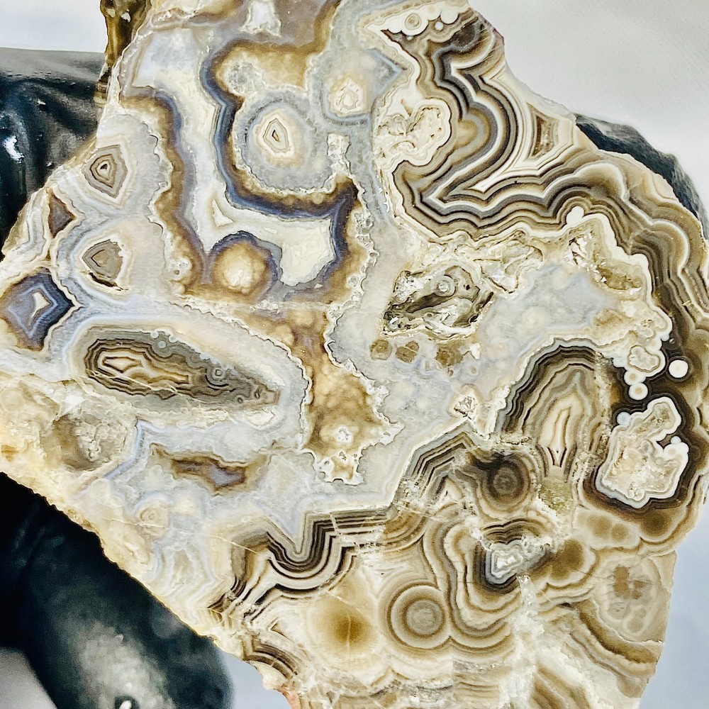 Ice Bubble Mexican Crazy Lace Agate Slab Orb Orbicular Silver Black Silver White