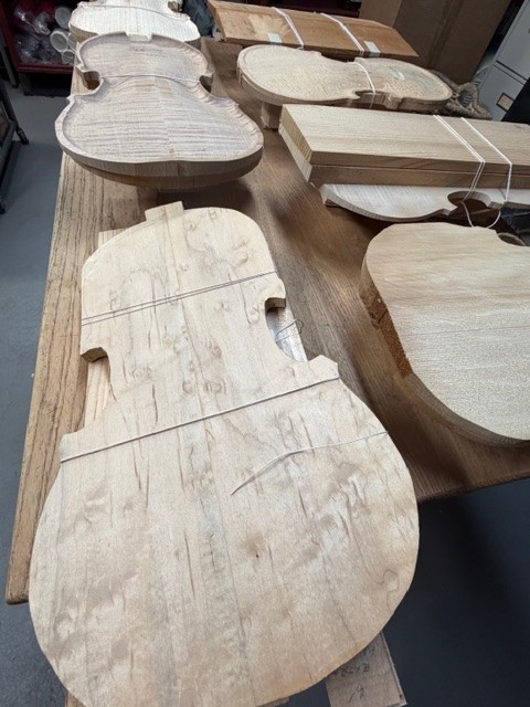 X7 Complete Viola Sets Assembly Required