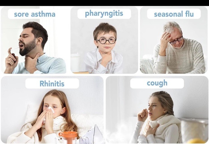 Veterinary Cat/Dog Atomization Machine - with digital display dj,djustable time.