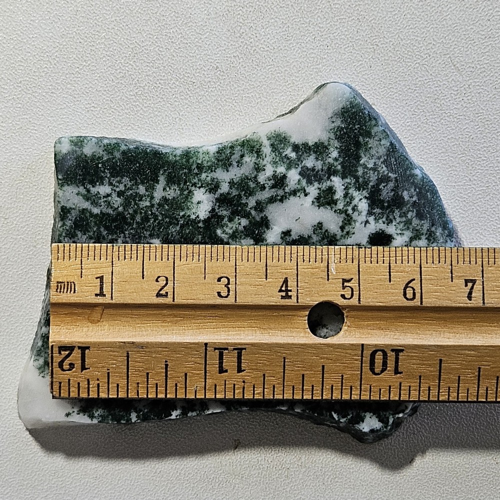 india tree agate lapidary slab