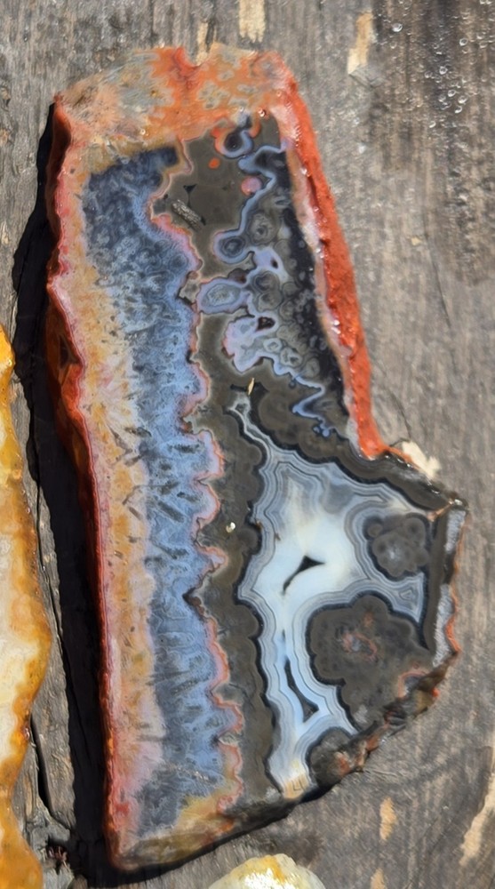 Turkish Agate Slabs Slices From Two Stones Matching Lapidary Unique