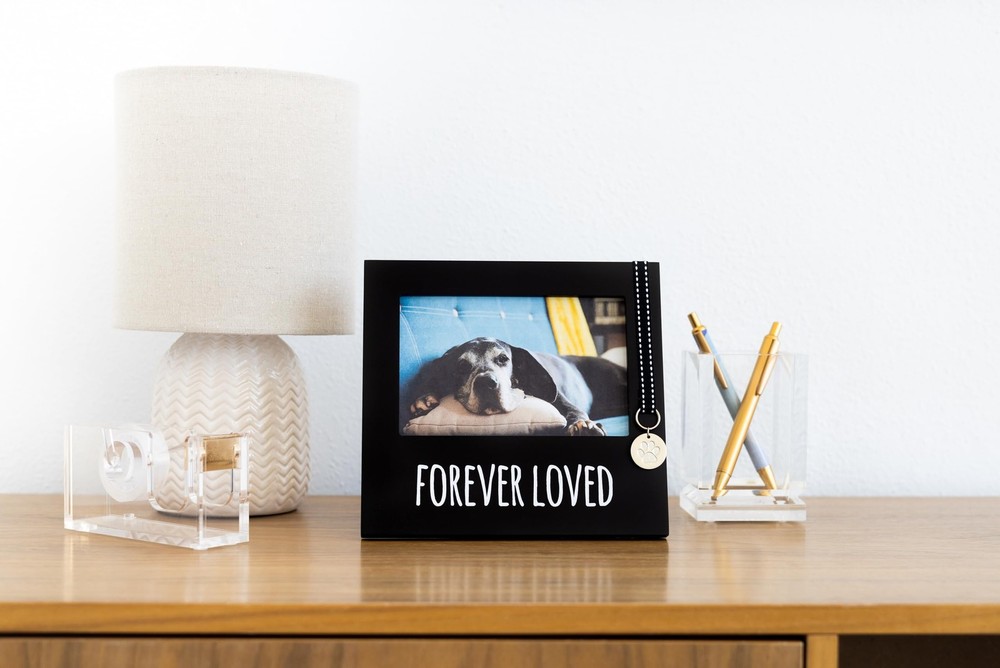 Pearhead Forever Loved pet Memorial Collar Frame, Frame