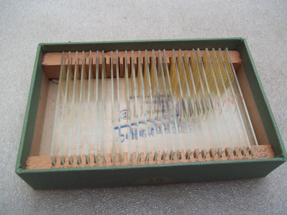 Vintage Glass Microscope Slides -