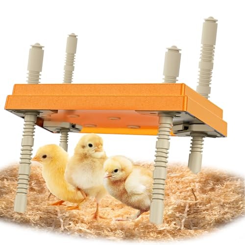 Brooder Plate with Adjustable Temperature & Height,10" x 10" Chick Heat Plate