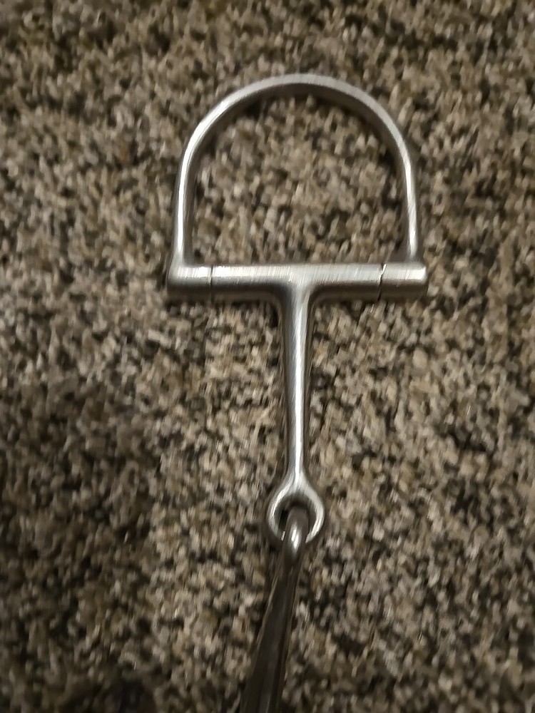 d ring snaffle bit