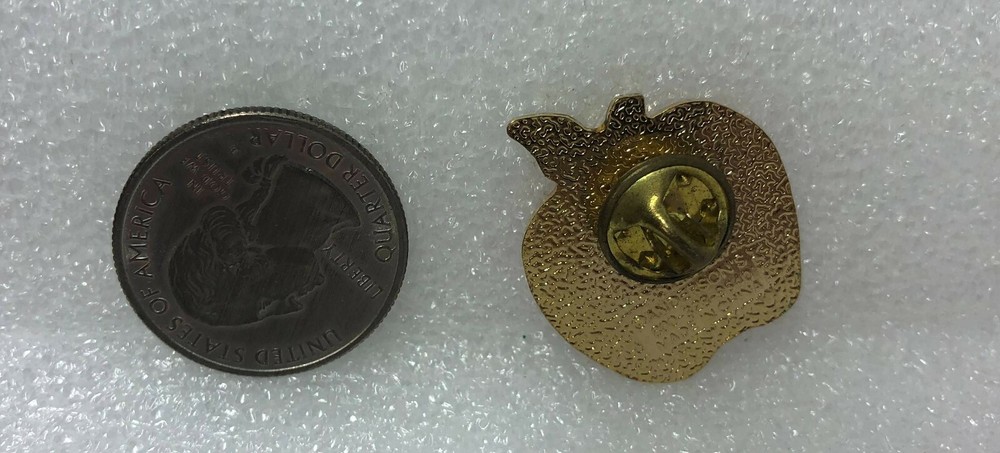 Behind Every Successful School Is A Dedicated TEAM Apple Pin