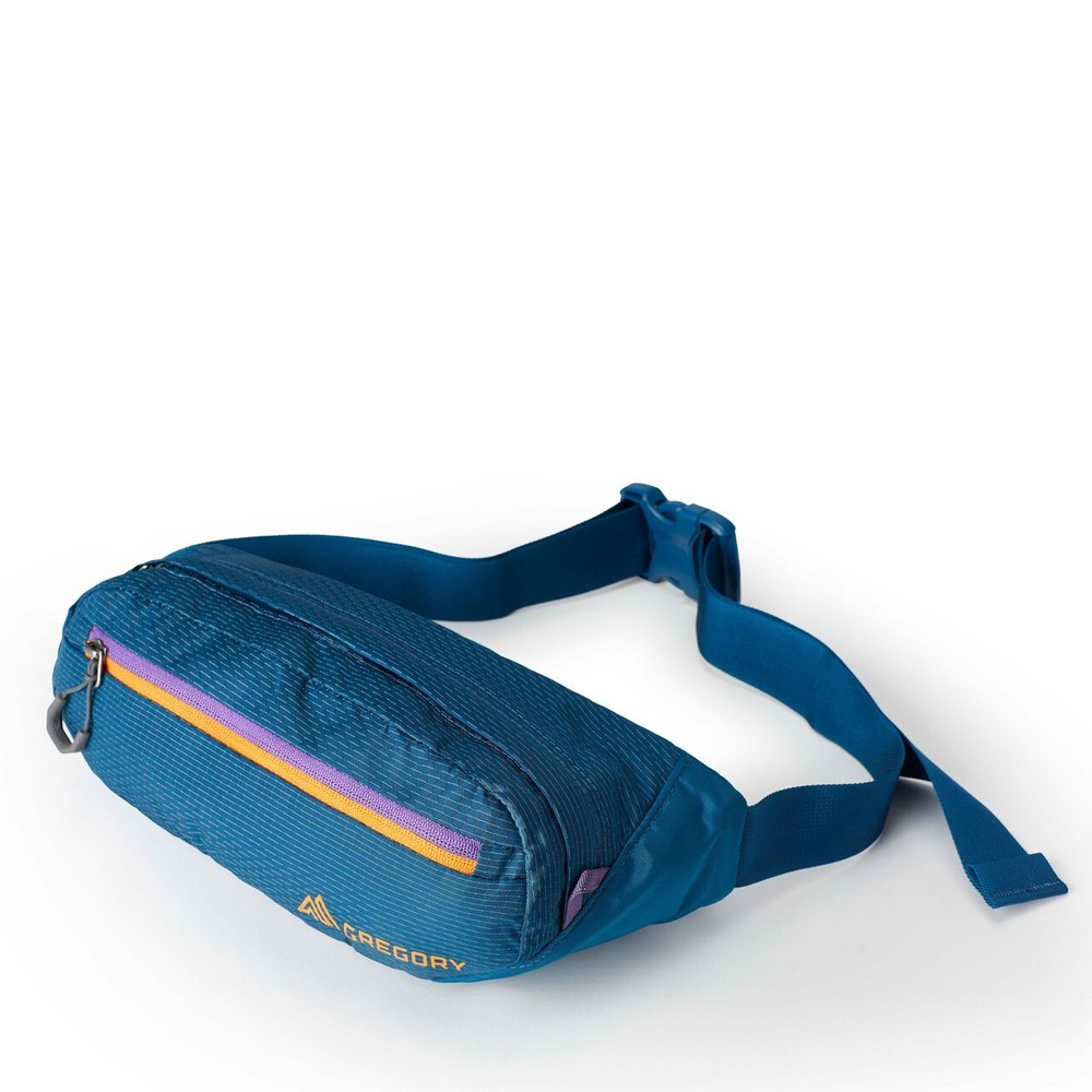 Gregory Nano Waistpack Mini Icon Teal