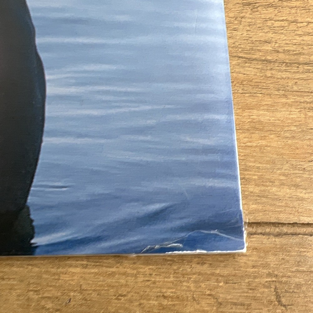 Dream Guys 2001 Wall Calendar